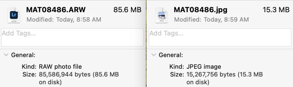 RAW vs JPEG storage comparison