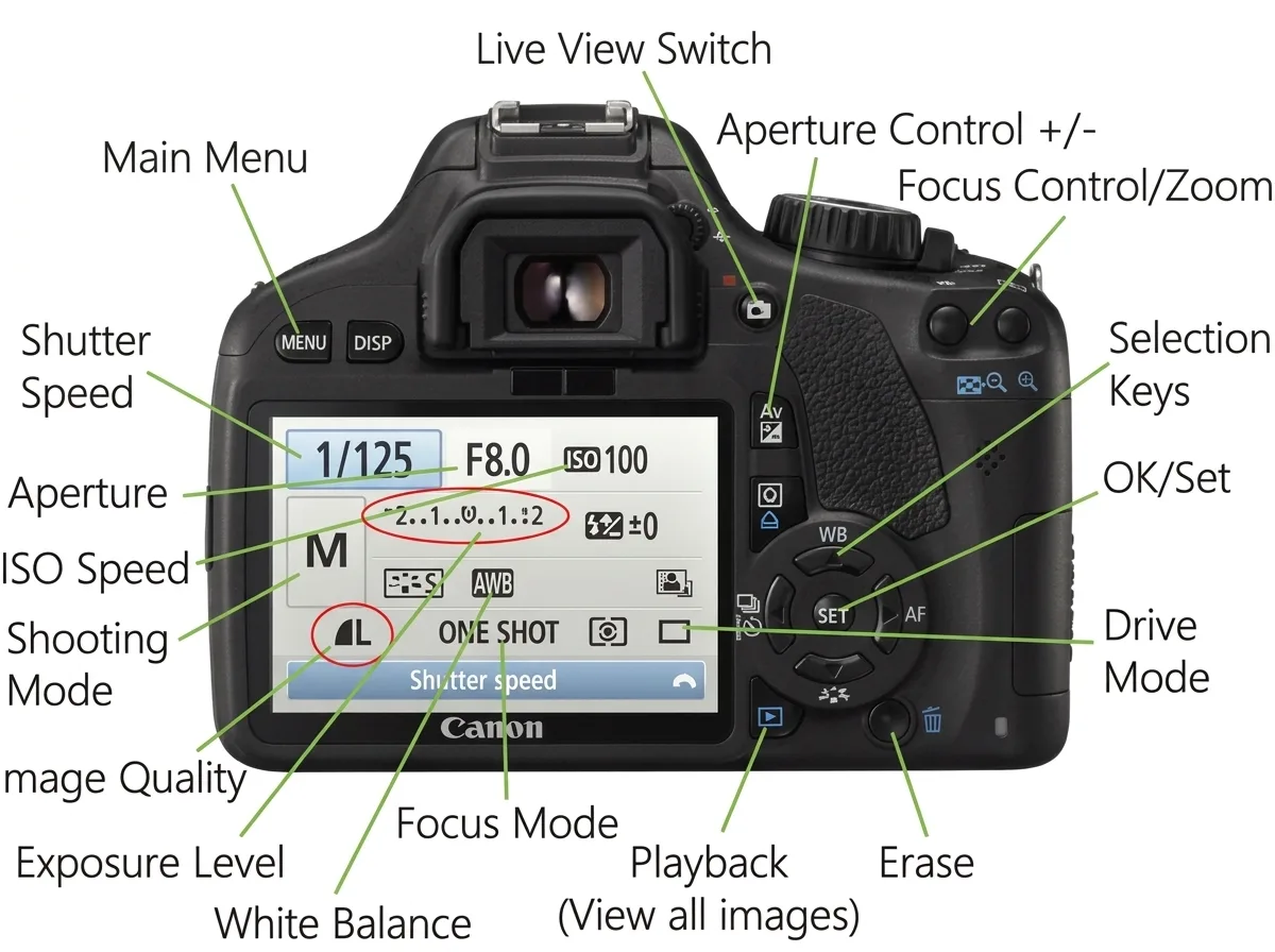 What Is ISO in Photography? The Complete Guide to Camera ISO (Meaning, Settings & Noise)