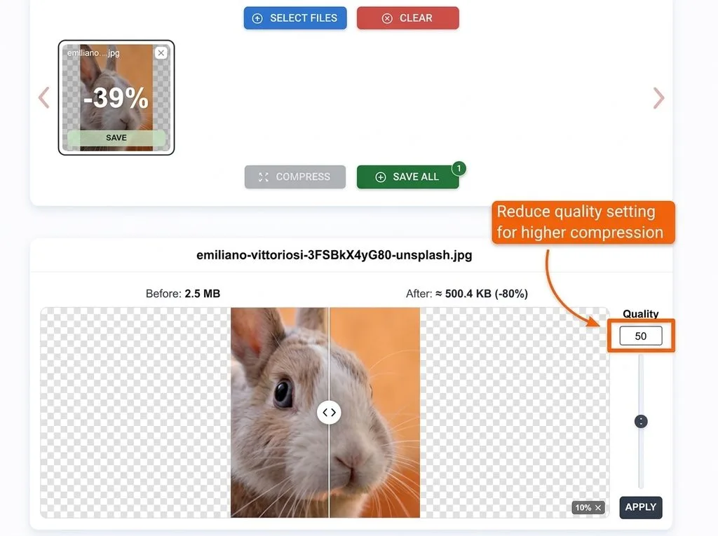Rabbit photo compressed from 2.5MB to 500.4KB (80% reduction) at quality 80 with no visible quality loss