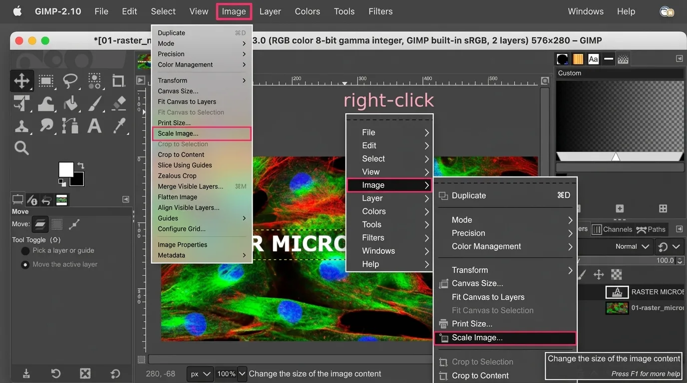 Raster Image Editing: The Complete Guide + Best Software (2026)